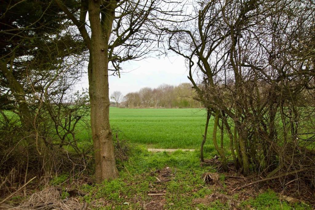 Spacious 5 Bed In The Countryside, Close To Frinton-On-Sea Kirby Cross Ngoại thất bức ảnh